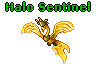 Halo Sentinel